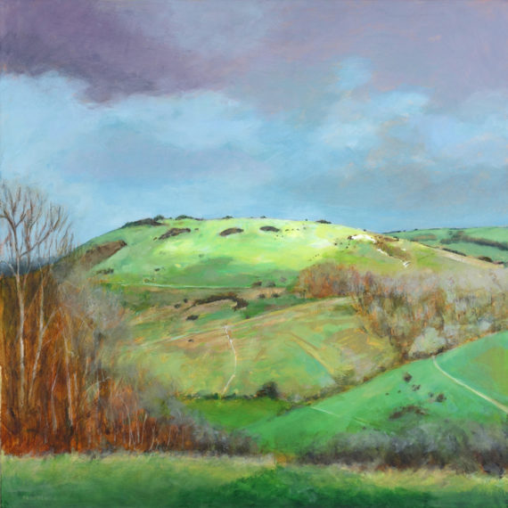 Newtimber Hill by Fran Slade